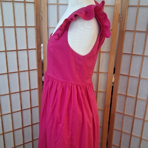 Express Pink Ruffled  Dress - Picture 5 of 16